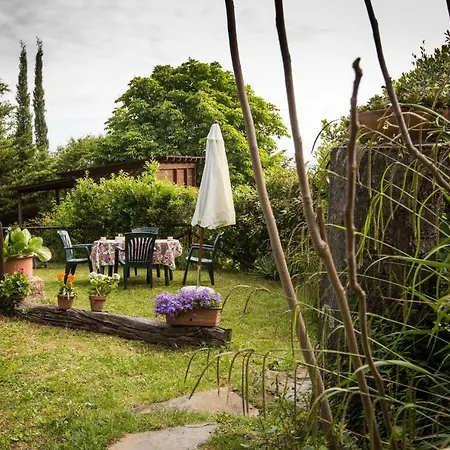 Rustico In Pietra Сasa de vacaciones Chianni
